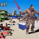 Image for article titled 'Shop Contest: Summer 2020, Winners!